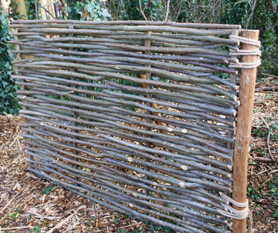 Hazel Hurdel Fence Capped Panel (Width: 6ft, Height: 4ft) HOME AND GARDEN Prestige Wicker 