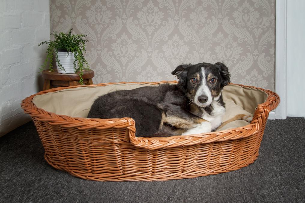 Large wicker dog basket hotsell